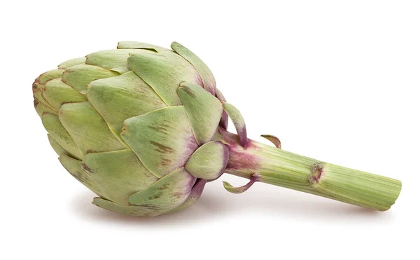 Artichoke Path Isolated White — 图库照片