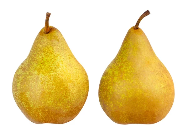 Bosc Pears Path Isolated White — Stock Photo, Image