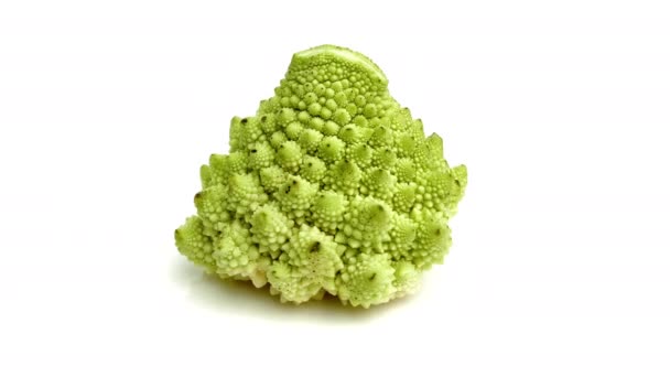 Romanescu Isolerad Vit Bakgrund — Stockvideo