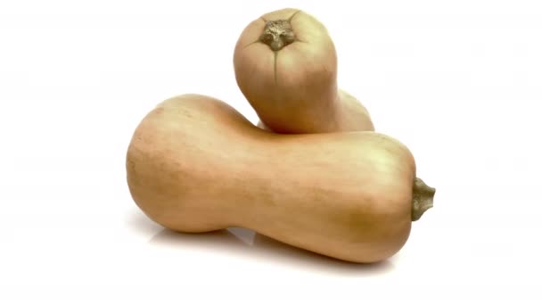 Butternut Geïsoleerd Witte Achtergrond — Stockvideo