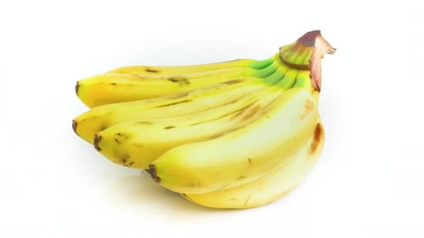 Plátano Bebé Aislado Sobre Fondo Blanco — Vídeos de Stock
