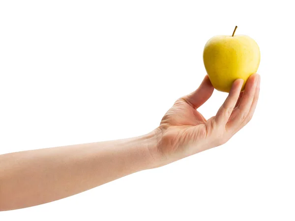Złote Pyszne Jabłko Dłoni Ścieżka Izolowane Białym — Zdjęcie stockowe