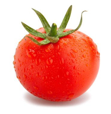 Domates yolu beyazda izole edildi