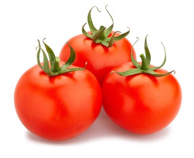 Domates yolu beyazda izole edildi