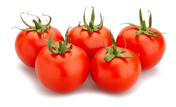 Tomatenpad Geïsoleerd Wit — Stockfoto
