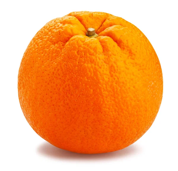 Orangenfruchtpfad Isoliert Auf Weiß — Stockfoto