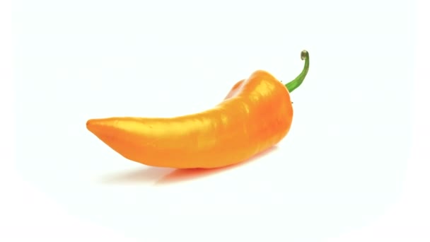 白い背景に隔離されたオレンジ色のロングペッパー — ストック動画