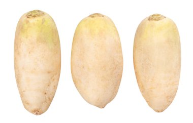 daikon turp yolu beyaz izole