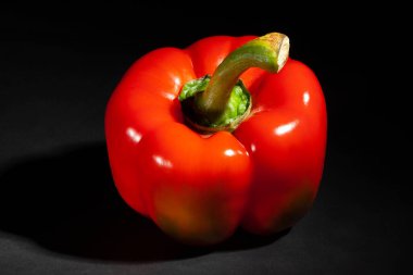 dolma biber siyah arkaplanda izole edildi