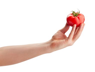 Eldeki domates yolu beyazda izole edilmiş.