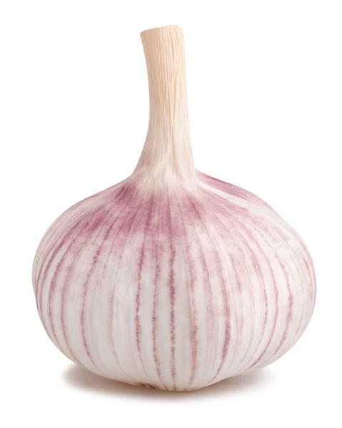 Knoblauch Isoliert Auf Weißem Hintergrund — Stockfoto