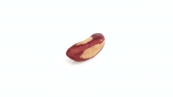 Brazil Nuts Isolated White Background — Stock Video