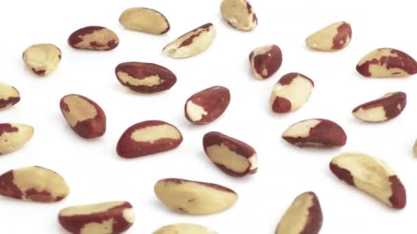 Kacang Brasil Terisolasi Pada Latar Belakang Putih — Stok Video
