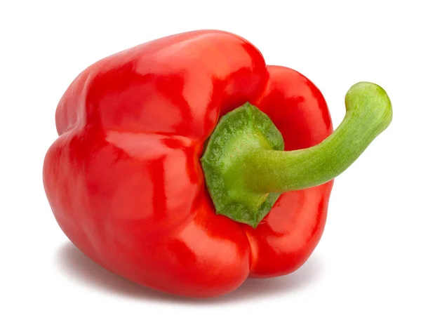 Rode Paprika Pad Geïsoleerd Wit — Stockfoto