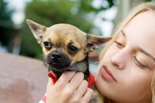 Menina loira segurando cão de estimação Fotos De Bancos De Imagens