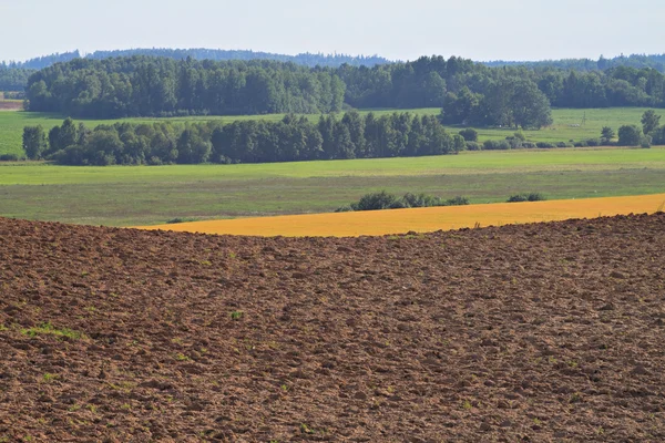 Vista sobre o campo de verão . — Fotografia de Stock