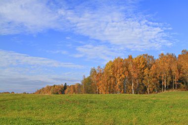 altın yaprağı ile çok renkli sonbahar manzarası.