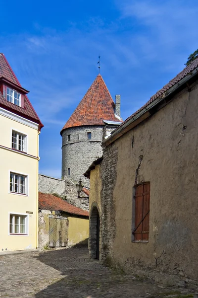 Tallinns gamla stad. — Stockfoto