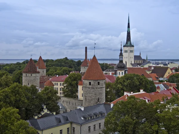 Tallinn Old town. — Stock Photo, Image