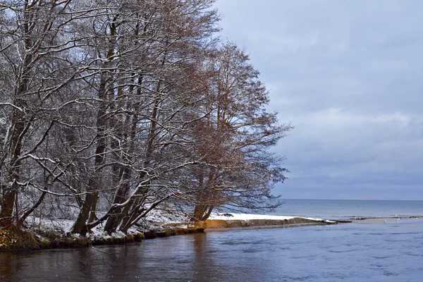 Вид на Балтийское море зимой . — стоковое фото