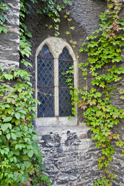 Vieja ventana de la abadía en Tallin Imagen de stock