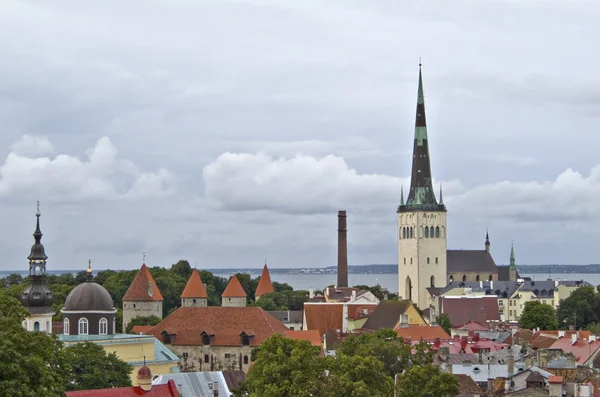 Tallinn Old town. — Stock Photo, Image