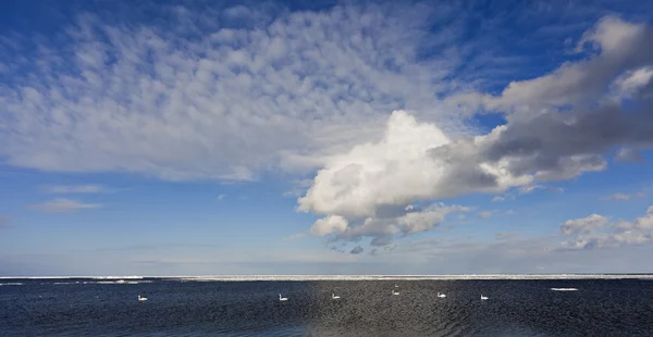 Mar Baltico paesaggio . — Foto Stock