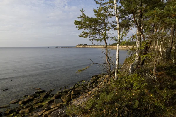 Baltische Zee landschap. — Stockfoto