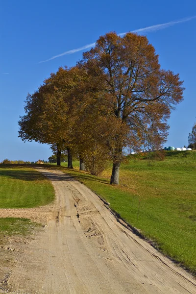 Lotyšský venkovská krajina podzim. — Stock fotografie