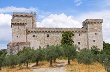 Albornoz Kalesi. Narni. Umbria. İtalya.
