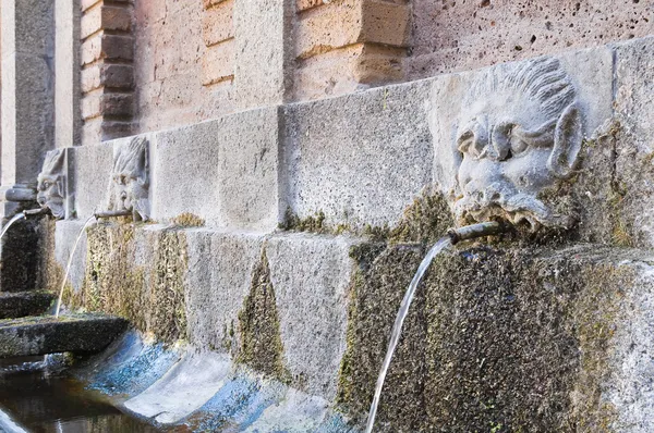 Fountain av rigombro. Acquapendente. Lazio. Italien. — Stockfoto