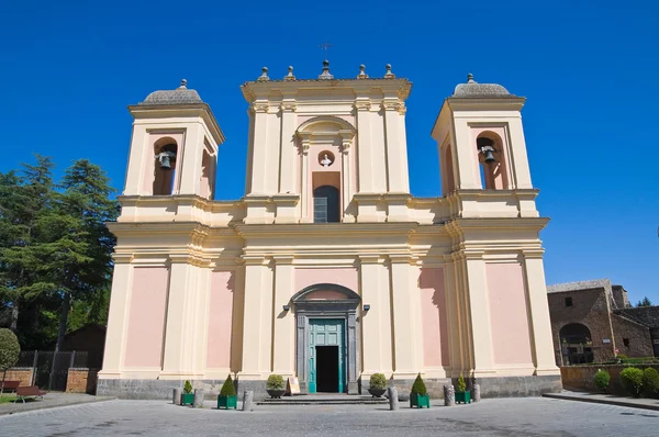 Bazylika St. Sepolcro. Acquapendente. Lazio. Włochy. — Zdjęcie stockowe