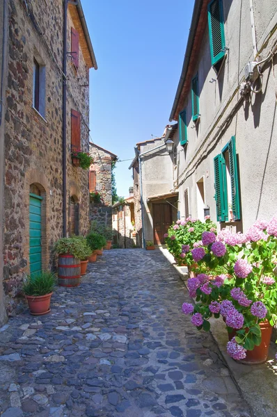 Callejuela. Torre Alfina. Lazio. Italia . — Foto de Stock