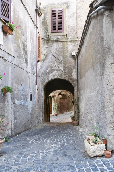 Alleyway. Ronciglione. Lazio. Italy. Stock Image