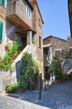 alleyway. Capranica. Lazio. İtalya.