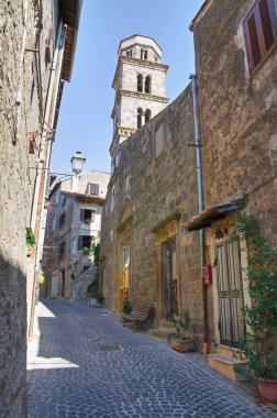 alleyway. Ronciglione. Lazio. İtalya.