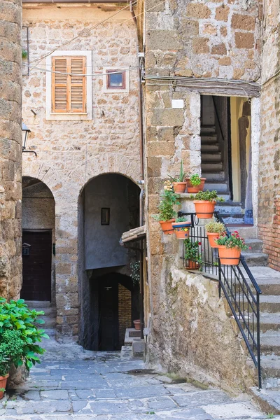 Une ruelle. Capranica. Latium. Italie . — Photo