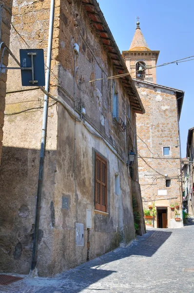골목입니다. capranica입니다. 라 지 오입니다. 이탈리아. — 스톡 사진