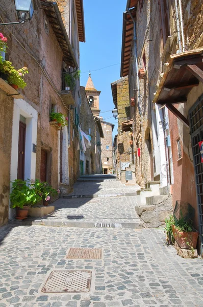 Steegje. Capranica. Lazio. Italië. — Stockfoto