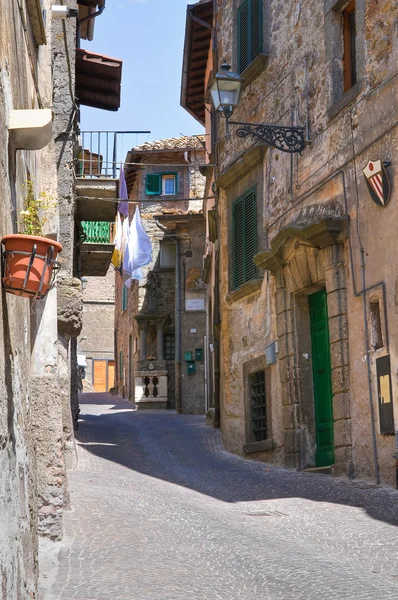 Alleyway. Soriano nel Cimino. Lazio. Italy. — Stock Photo, Image