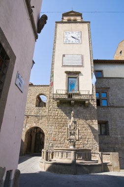 Belediye Binası. vitorchiano. Lazio. İtalya.