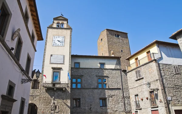 Town Hall Building. Vitorchiano. Lazio. Italy. — Stock Photo, Image