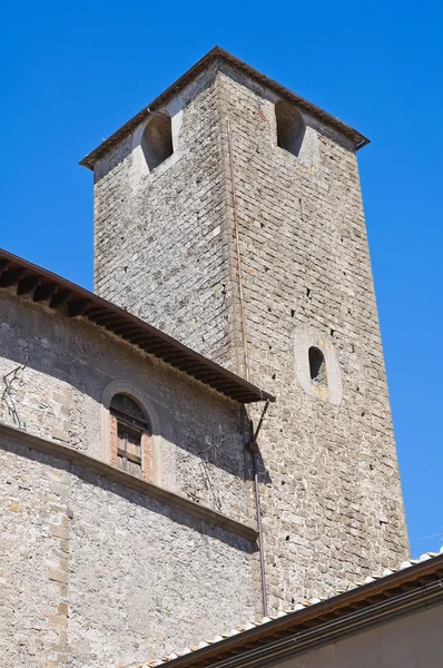 Chigi pałacu. Viterbo. Lazio. Włochy. — Zdjęcie stockowe