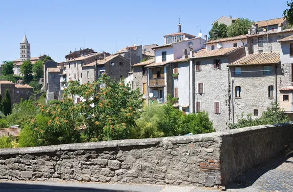 Panoramiczny widok z viterbo. Lazio. Włochy. — Zdjęcie stockowe