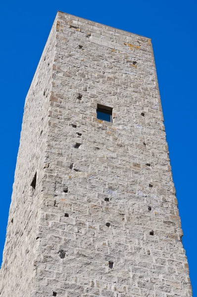 Středověká věž. Viterbo. Lazio. Itálie. — Stock fotografie