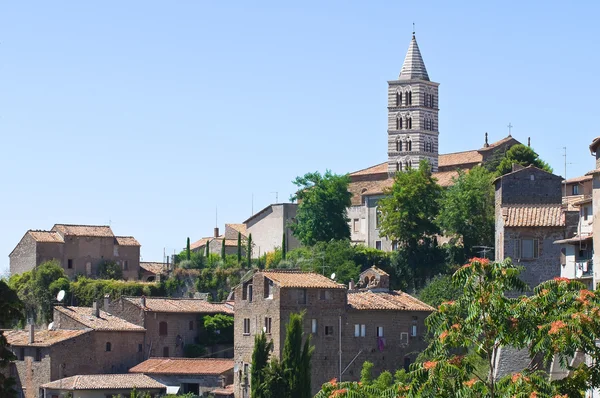 Panoramautsikt över viterbo. Lazio. Italien. — Stockfoto