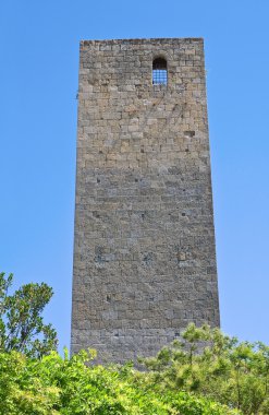 Kule ve campo cialdi. Tarquinia. Lazio. İtalya.