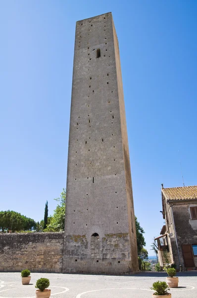Středověká věž. Tarquinia. Lazio. Itálie. — Stock fotografie