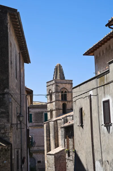 Callejuela. Tarquinia. Lazio. Italia . —  Fotos de Stock
