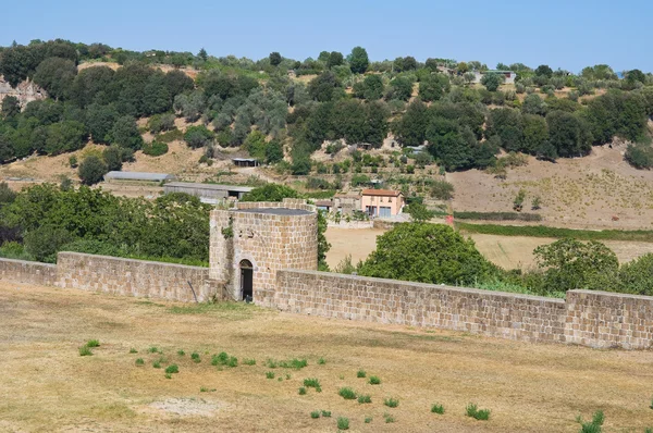 Mury obronne. Tuscania. Lazio. Włochy. — Zdjęcie stockowe